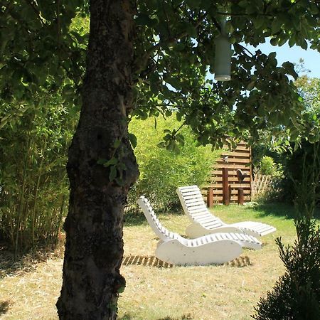 Apartament Alte-Schule-Seelbach Seelbach  Zewnętrze zdjęcie